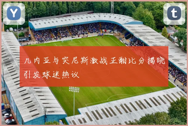 几内亚与突尼斯激战正酣比分揭晓引发球迷热议