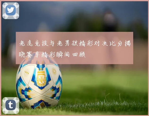 老虎竞技与老男孩精彩对决比分揭晓赛季精彩瞬间回顾