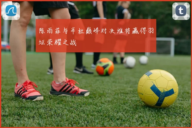 陈雨菲与辛杜巅峰对决谁将赢得羽坛荣耀之战