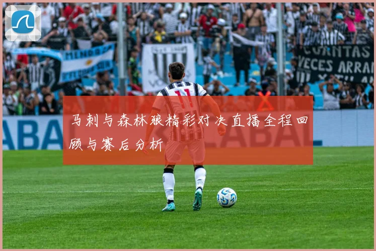 马刺与森林狼精彩对决直播全程回顾与赛后分析