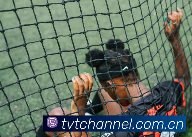 多媒体互动体验