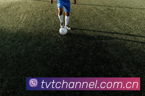 TVT体育APP 高清赛事图